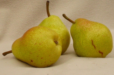 Produktfoto zu Birne Red Bartlett