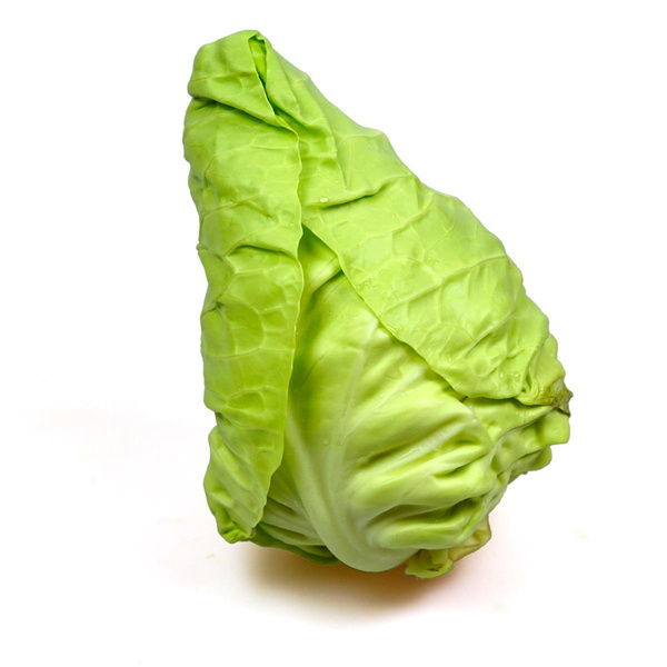 Produktfoto zu Spitzkohl, klein