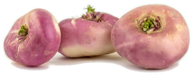 Produktfoto zu Rübchen, violett