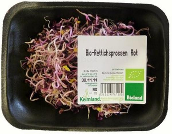 Produktfoto zu Rettichsprossen, rot 80g