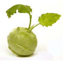 Produktfoto zu Kohlrabi, klein