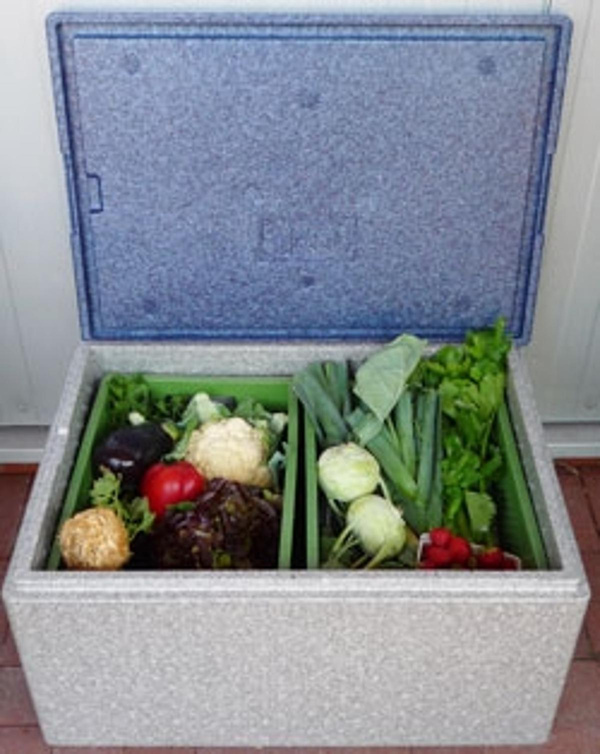 Produktfoto zu Thermobox, groß