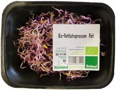 Produktfoto zu Rettichsprossen, rot 80g