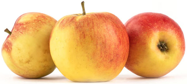 Produktfoto zu Apfel Jonagold