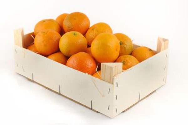 Produktfoto zu Blutorangen Moro