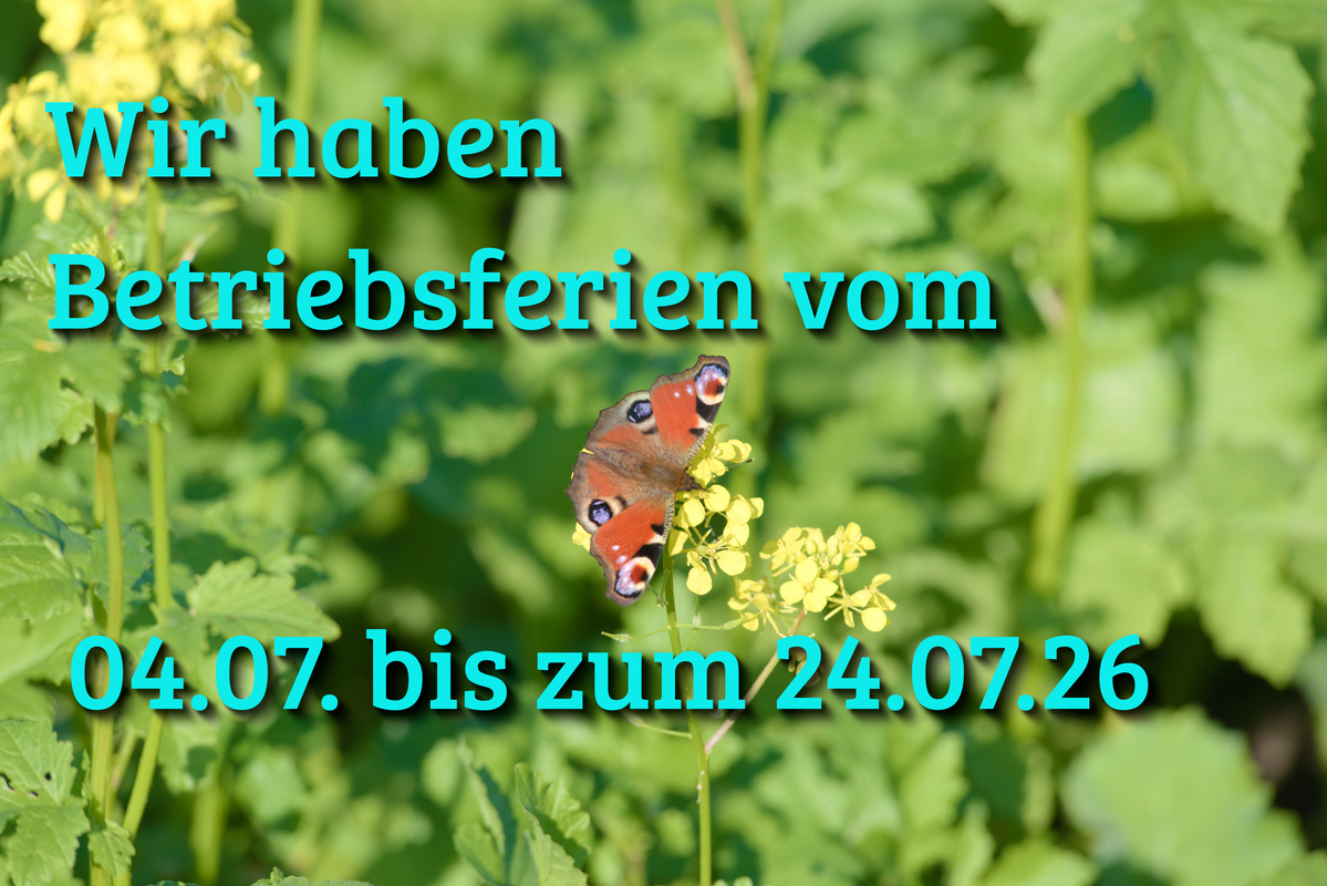 Bühne