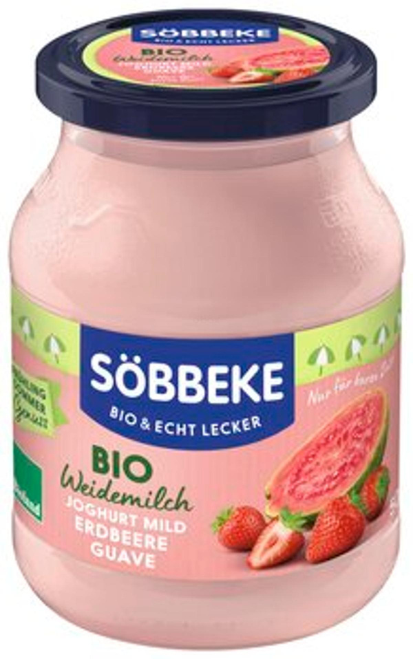 Produktfoto zu Joghurt Erdbeere-Guave 3,8%