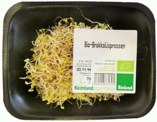 Produktfoto zu Brokkolisprossen 70g