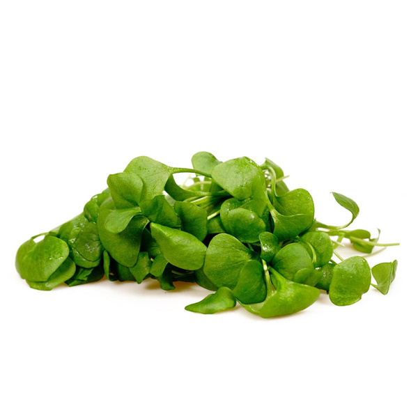 Produktfoto zu Postelein 100g