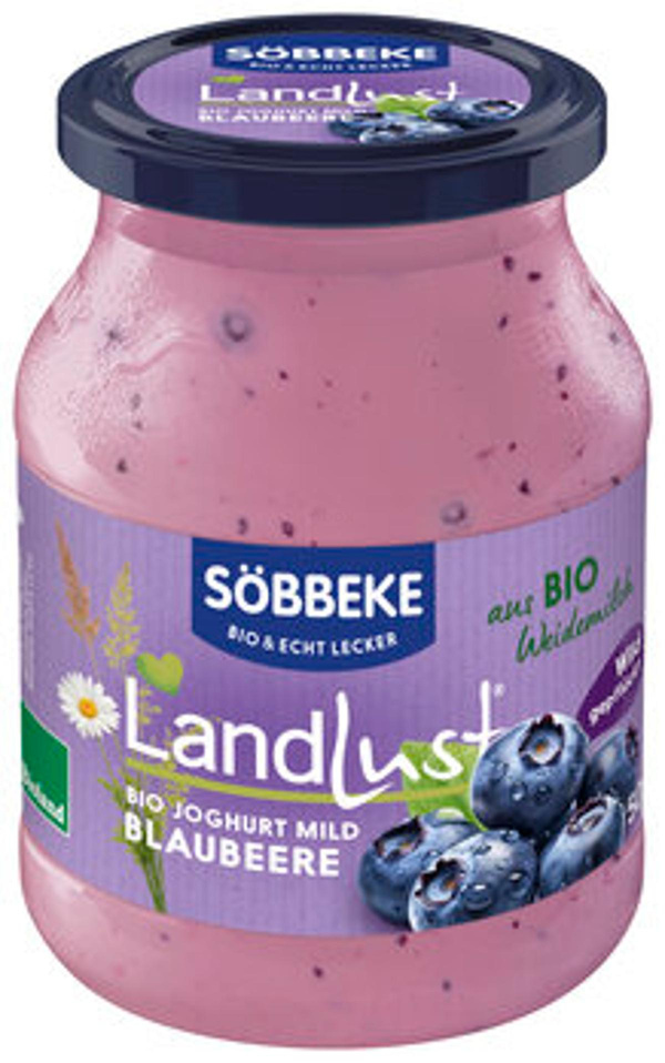 Produktfoto zu Joghurt-PUR Blaubeere im 500g Glas