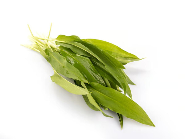 Produktfoto zu Bärlauch Bund 40g