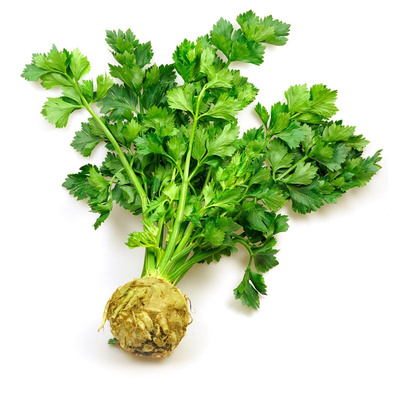 Produktfoto zu Knollensellerie mit Grün