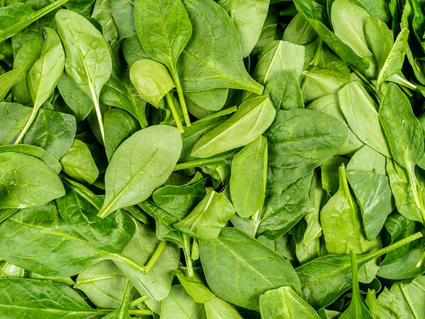 Produktfoto zu Babyspinat 100g