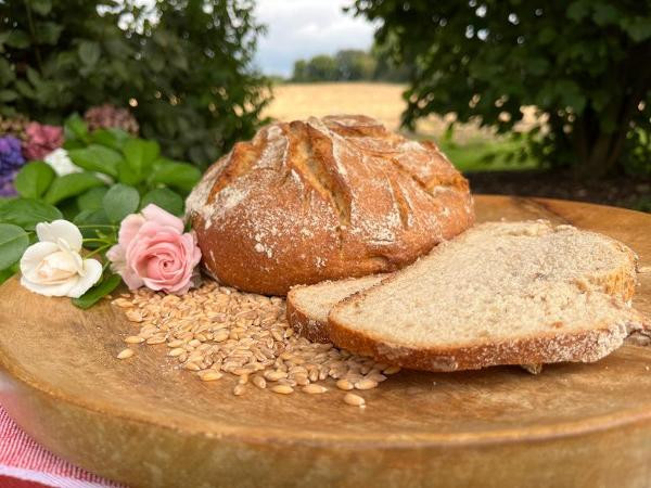 Produktfoto zu Dinkelröschen Brot, 750g