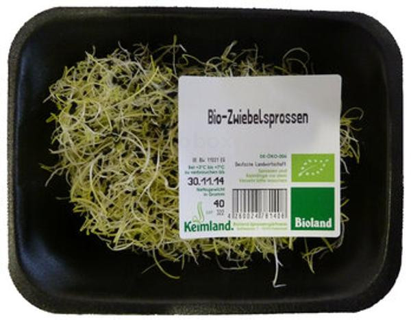 Produktfoto zu Zwiebelsprossen 40g