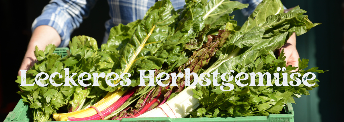 KI generiert: Person hält Kiste mit frischem Herbstgemüse. Text: "Leckeres Herbstgemüse".