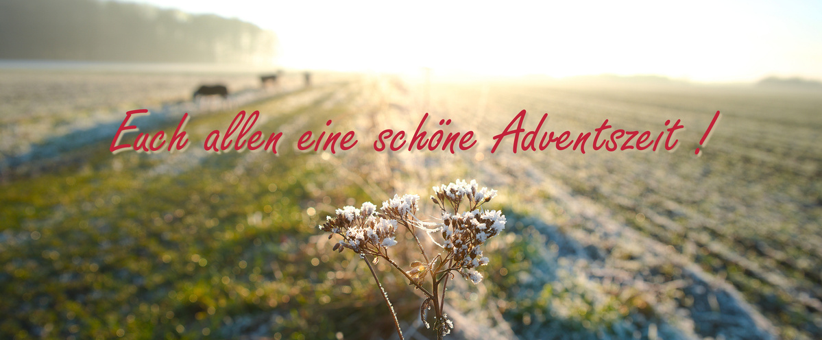 KI generiert: Verschneites Feld mit der Aufschrift: "Euch allen eine schöne Adventszeit!"