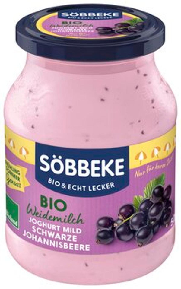 Produktfoto zu Joghurt Schwarze Johannisbeere 3,8%