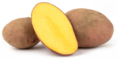 Produktfoto zu Kartoffel Laura- rotschalig